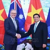 Премьер-министр Фам Минь Тьинь и премьер-министр Австралии Энтони Альбанезе. (Фото: Зыонг Жанг/ВИА)