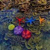 Провинция Фу-йен укрепляет потенциал сообщества по сохранению кораллового рифа Хон-йен. (Фото: журнала «Промышленность и торговля»)