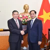 Министр иностранных дел Буй Тхань Шон (справа) принял постоянного секретаря по иностранным делам Таиланда. (Фото: МИД)