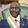 Председатель Национального собрания Кот-дИвуара Адама Биктого. (Фото: Africa Press)