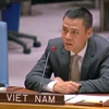 Посол Данг Хоанг Жанг, глава Представительства Вьетнама при ООН, выступил на дискуссии в Совете Безопасности на тему «Изменение климата, мир и безопасность». (Фото: ВИА)