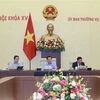 Выступает на заседании Председатель Национального собрания Выонг Динь Хюэ. (Фото: ВИА)