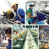 Развитие высококачественных человеческих ресурсов является основным решением, помогающим устойчивому восстановлению рынка труда. Иллюстративное изображение (Фото: baochinhphu.vn)