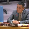 Посол Данг Хоанг Жанг, Постоянный представитель Вьетнама при Организации Объединенных Наций (ООН). (Фото: ВИА) 