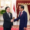Председатель НС Выонг Динь Хюэ совершил встречу с президентом Индонезии Джоко Видодо. (Фото: ВИА)