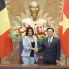 Председатель Национального собрания Выонг Динь Хюэ провел переговоры с председателем Сената Бельгии Стефани Д'Оз. (Фото: Зоан Тан/ВИА)