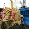 Перевозка экспортного риса Loc Troi Group в порт Тхотнот (город Кантхо). (Фото: Ву Шинь/ВИА)