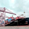 FESCO превратила порт Хошимин в хаб по перевалке грузов из стран Юго-Восточной Азии во Владивосток. (Фото: congthuong.vn)
