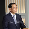 Министр иностраннных дел Буй Тхань Шон. (Фото: ВИА)