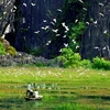 Развитие экотуризма, связанного с сохранением биоразнообразия. (Фото:tuyengiao.vn)