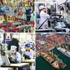 Ожидается, что экономический рост Вьетнама замедлится до 5,8% в 2023 году и 6,0% в 2024 году. (Фото: vtv.vn) 