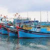 Морские рыболовные суда бросают якорь в рыболовном порту Митан в общине Тханьхай (уезд Ниньхай, провинция Ниньтхуан). (Фото: ВИА)