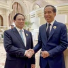 Премьер-министр Фам Минь Тьинь встретился с президентом Индонезии Йоко Видодо. (Фото: ВИА)