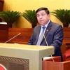 Министр планирования и инвестиций Нгуен Тьи Зунг. (Фото: ВИА)