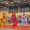 Танцы льва и дракона, а также выступления вьетнамских сект по боевым искусствам вызвали восторг у зрителей во Франции. (Фото: ВИA)