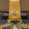 Постоянный представитель Вьетнама при ООН посол Данг Хоанг Жанг выступил на обсуждении ежегодного доклада МАГАТЭ за 2022 год на Генеральной Ассамблее ООН 8-9 ноября. (Фото: ВИA)