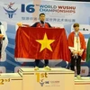 Вьетнамский спортсмен Хюинь До Дат завоевал золотую медаль в соревнованиях по саньда (Фото: thethaovietnamplus.vn)