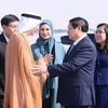 На церемонии проводов премьер-министра Фам Минь Тьиня в ОАЭ (Фото: ВИА) 