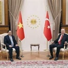 Премьер-министр Фам Минь Тьинь (слева) и президент Турции Реджеп Тайип Эрдоган. (Фото: ВИA)