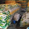 2023 год стал успешным годом для вьетнамских поставок риса: объем экспорта и цены достигли рекордного уровня - 8,3 млн тонн и 4,78 млрд долларов США. (Фото: ВИA)