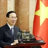 Президент Во Ван Тхыонг (Фото: ВИA)