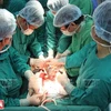 Врачи военного госпиталя № 103 проводят операцию по пересадке органов (Фото: ВИА)