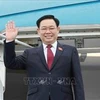 Председатель НС Вьетнама отправляется с официальным визитом в Китай. (Фото: ВИА)