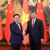 Председатель Национального собрания Выонг Динь Хюэ (слева) встречается с Генеральным секретарем ЦК Коммунистической партии Китая, Председателем КНР Си Цзиньпином в Пекине 8 апреля. (Фото: ВИA)
