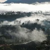 Далат окружен лесами, покрытыми облаками, а также стал популряным благодаря турам «охоты на облака», очень привлекательным для туристов в последние годы. (Фото: ВИА) 