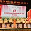 国会副主席阮氏金银向出色个人和集体授予奖状（图片来源：越通社）