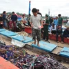 2015年7月被中国船只攻击的越南渔船（图片来源​：劳动报）