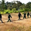 越柬两国军人在越柬边境地区进行巡逻
