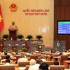 越南第十三届国会第十次会议​ （图片来源：越通社）