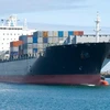 越南与巴西签署海上运输协议将为越南在巴西海上运输活动创造便利条件