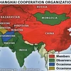 上海合作组织成员和观察员地图（图片来源：Strategic Forecasting, Inc）