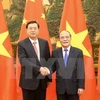 越南国会主席阮生雄与中国全国人大常委会委员长张德江（图片来源：越通社）