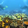 范文成摄影师作品《探索维护珊瑚礁》（图片来源：因特网）