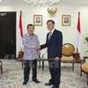 越南驻印度尼西亚特命全权大使黄英俊与印度尼西亚副总统优素福·卡拉（图片来源：越通社）