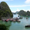 越南下龙湾2014年跻身全球最美的地质奇观名录。