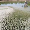  越南努力应对严重干旱​