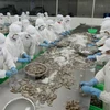 美国对越南虾类产品反倾销税进行核查 （图片来源：越通社）
