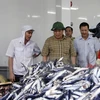 广治省领导人检查某鱼类加工厂（图片来源：越通社）