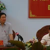 越南政府副总理王廷惠在嘉莱省调研。（图片来源：越通社）