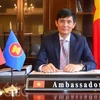 越南常驻东盟代表团团长阮黄年大使（图片来源：越通社）