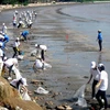 在海滩清理垃圾（图片来源：tinmoitruong.vn）