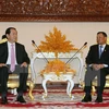 越南国家主席陈大光会见柬埔寨参议院议长赛宗（图片来源：越通社）