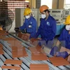 越南建筑玻璃与陶瓷总公司砖瓦生产链。