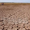 越南九龙江三角洲遭受严重旱灾。（图片来源：越通社）