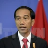 印尼总统佐科·维多多（图片来源：AFP）