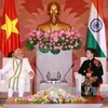 越南国会主席阮氏金银会见印度总理纳伦德拉•莫迪（图片来源：越通社）